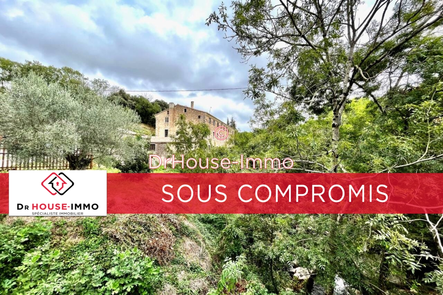 Photo 1 : Vente Maison 20 pièces Brousses-et-Villaret 857 m²