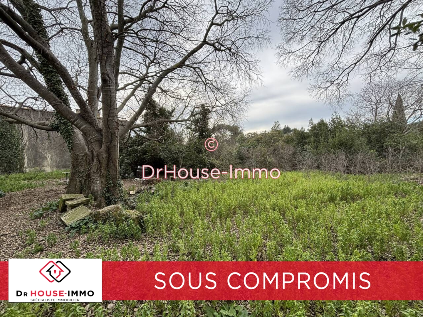 Photo 1 : Vente Maison 5 pièces Saint-Georges-d'Orques 320 m²