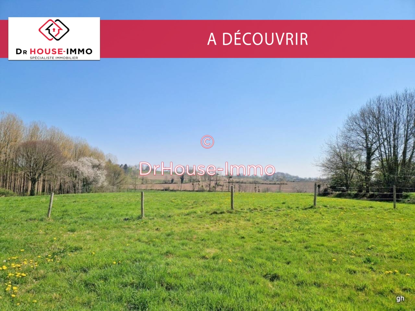 Photo 3 : Vente Maison 8 pièces Louvigné-du-Désert 272 m²