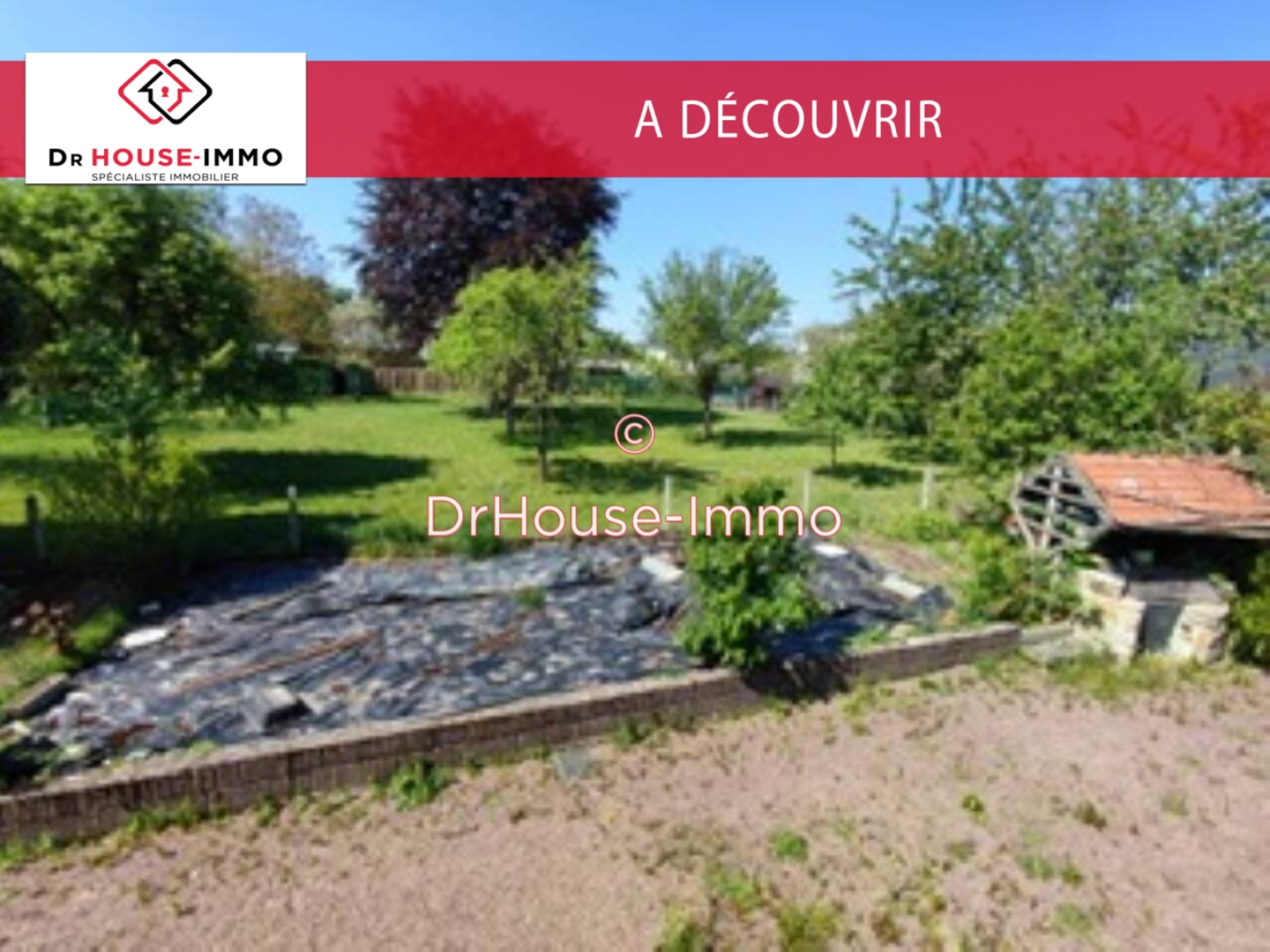 Image des la section Servies