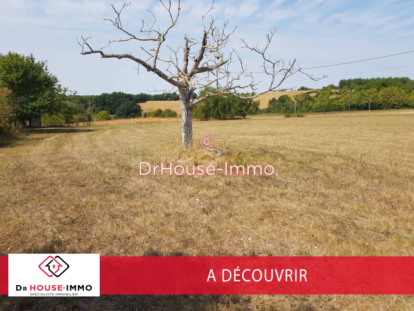 Photo 3 : Vente Terrain  Verteillac 4338 m²