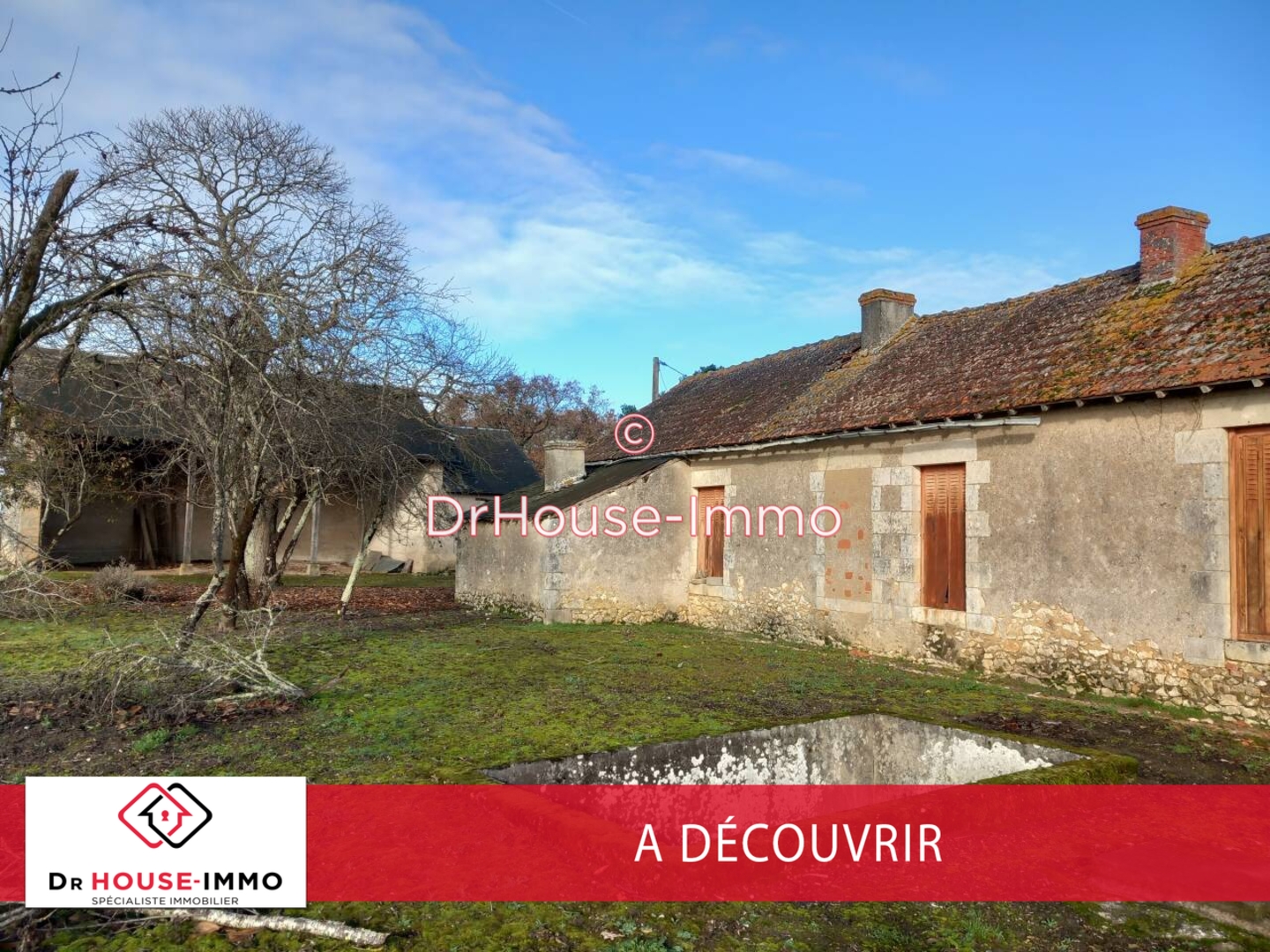 Photo 1 : Vente Maison 4 pièces Pouligny-Saint-Pierre 410 m²