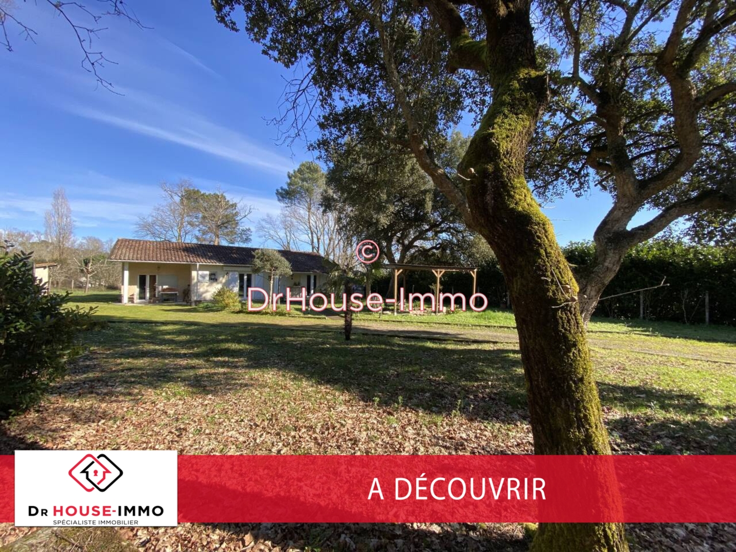 Photo 2 : Vente Maison 4 pièces Tauriac 92 m²
