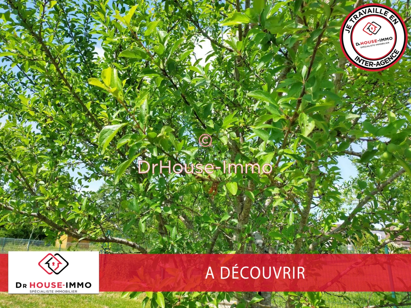 Photo 1 : Vente Terrain La Roche-Posay 950 m²