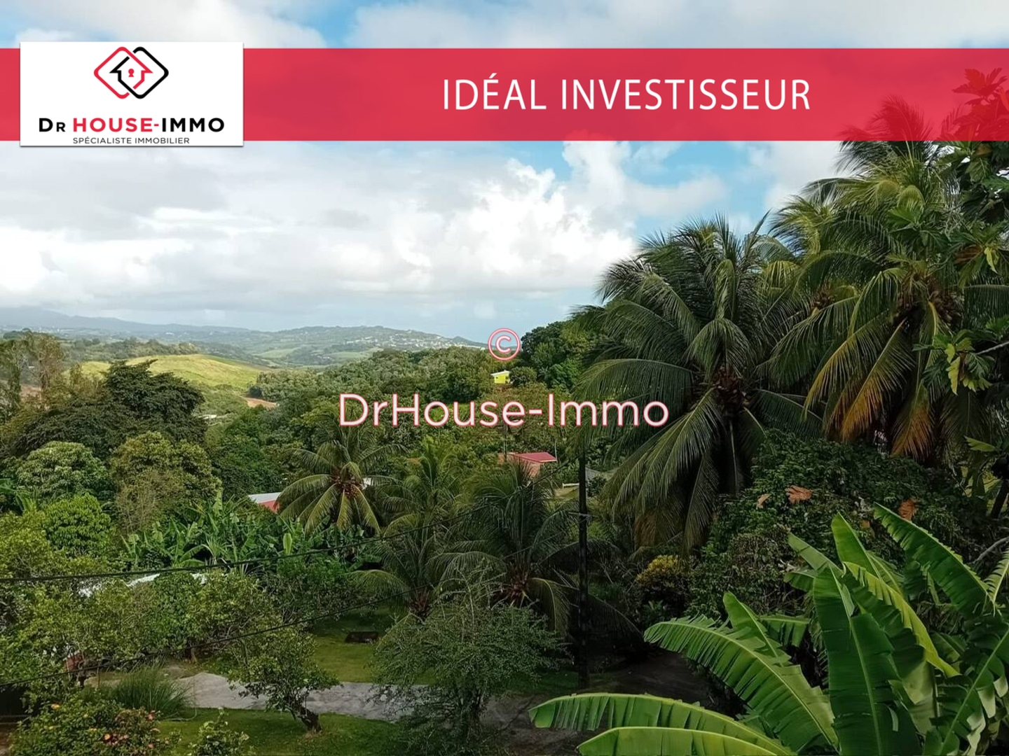 Photo 1 : Vente Immeuble 12 pièces Robert 350 m²