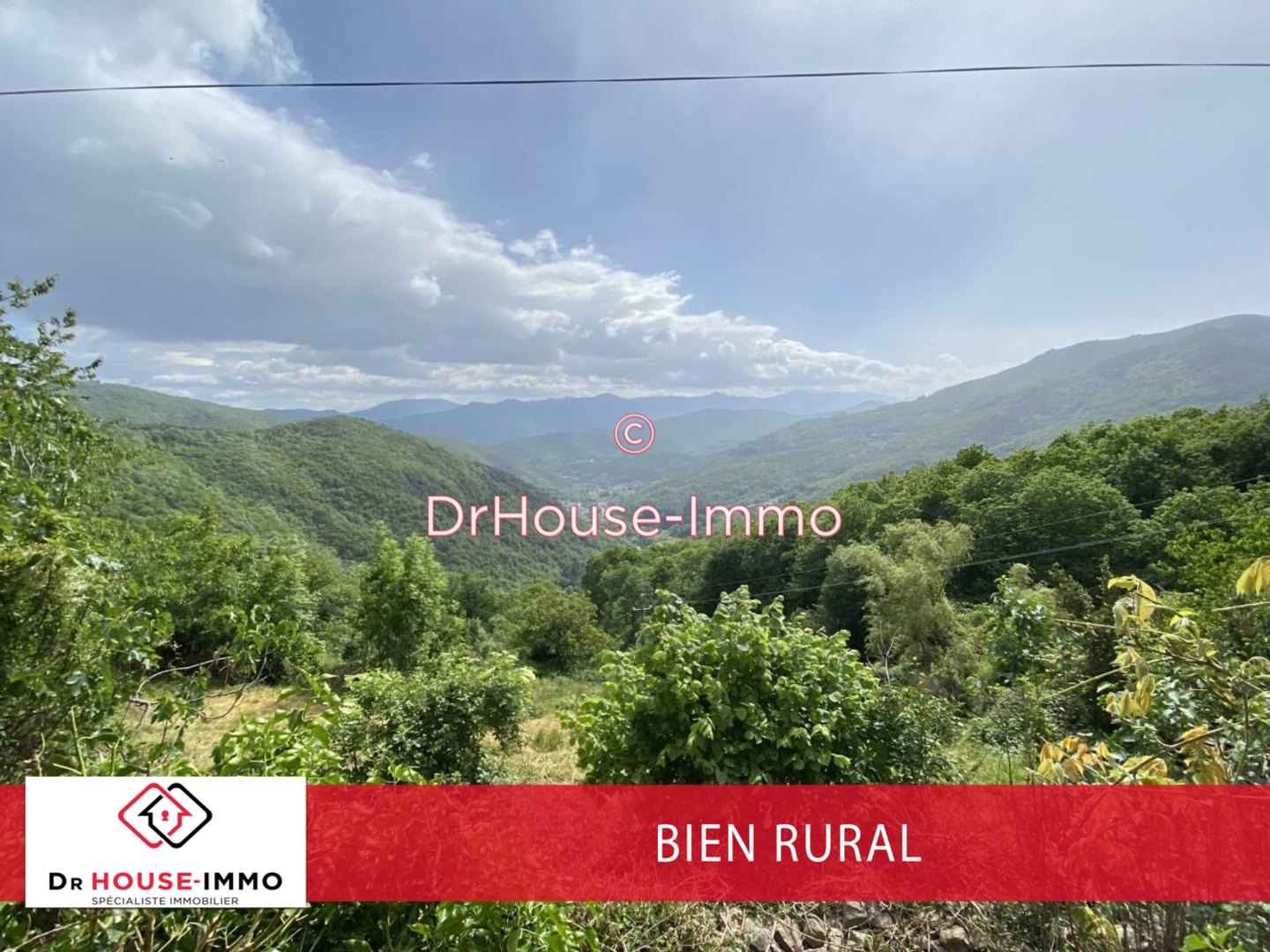 Photo 2 : Vente Maison 5 pièces Saint-Pierre-de-Colombier 235 m²