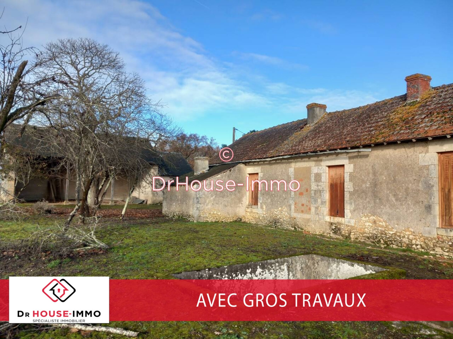 Photo 1 : Vente Maison 4 pièces Pouligny-Saint-Pierre 410 m²