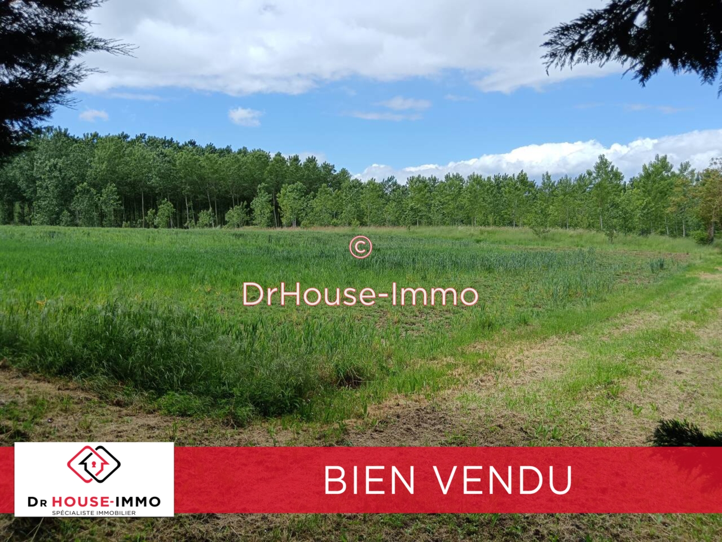 Photo 1 : Vente Terrain Tonneins 200000 m²