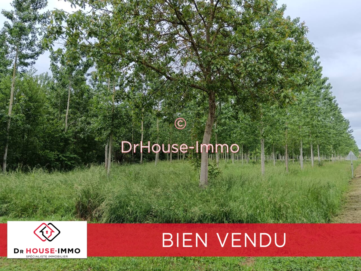 Photo 3 : Vente Terrain Tonneins 200000 m²