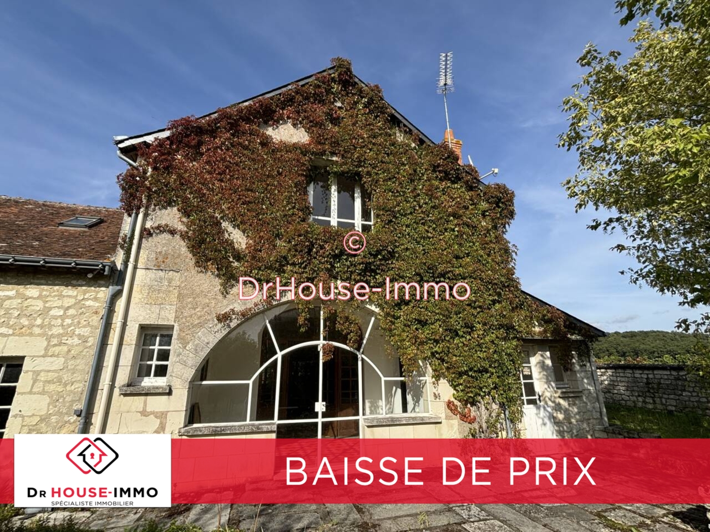 Photo 2 : Vente Maison 11 pièces Cravant-les-Côteaux 410 m²