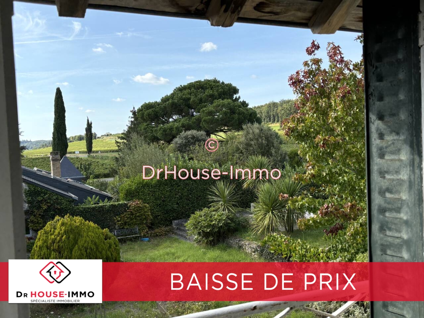 Photo 3 : Vente Maison 11 pièces Cravant-les-Côteaux 410 m²