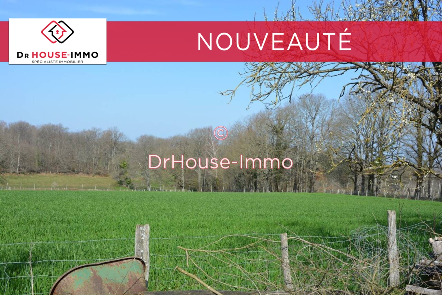 Photo 2 : Vente Terrain Champsac 99617 m²