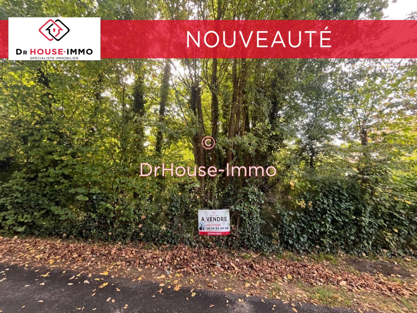 Image des la section Servies