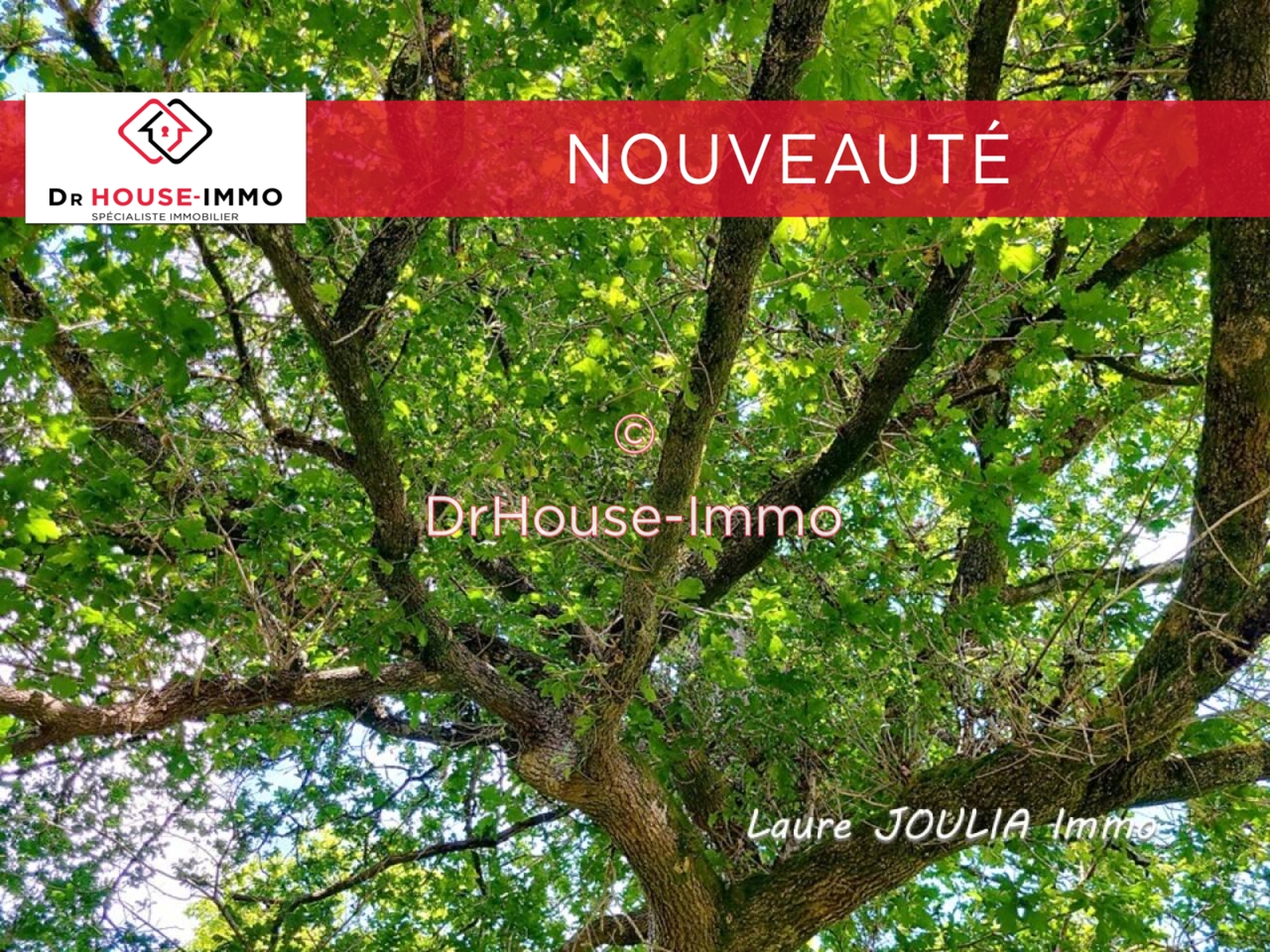 Photo 1 : Vente Terrain Saint-Martin-de-Seignanx