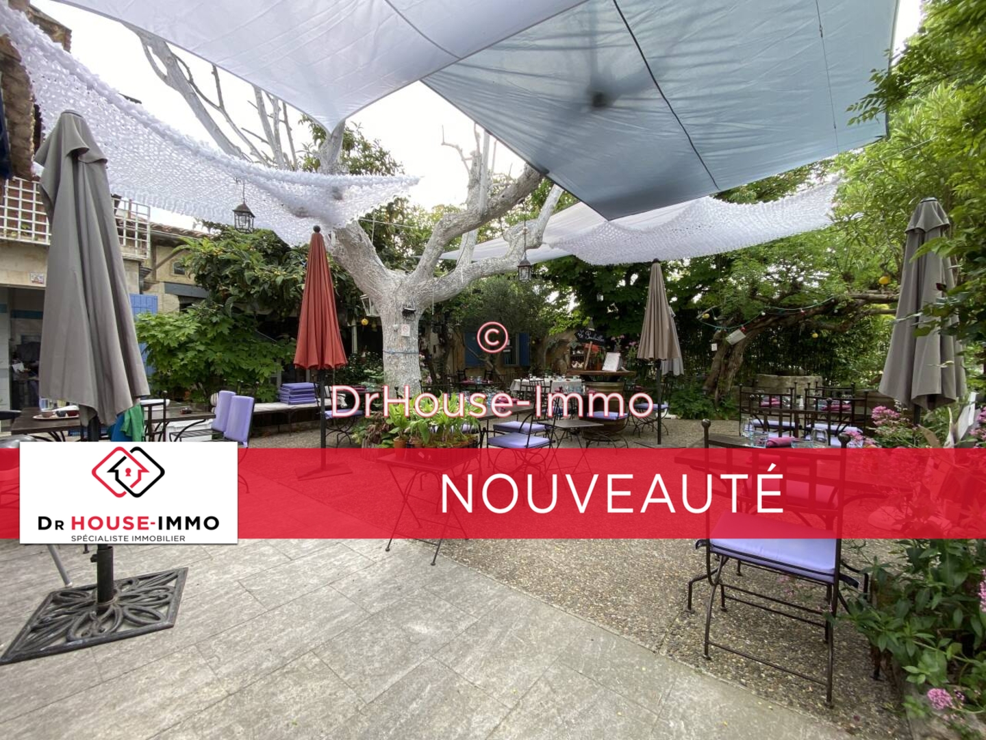 Photo 1 : Vente Commerce 11 pièces Fontvieille 315 m²