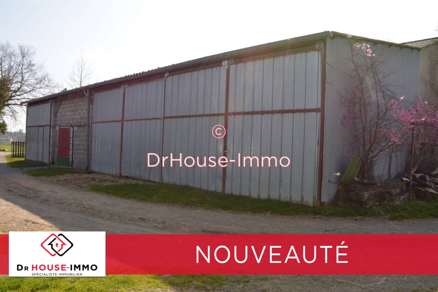 Photo 3 : Vente Terrain Champsac 99617 m²