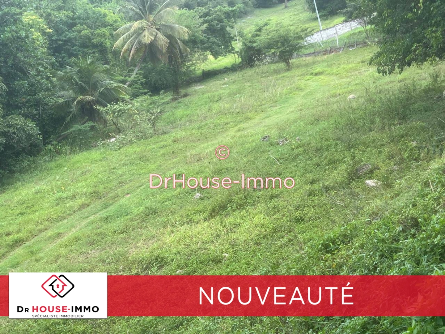 Photo 3 : Vente Terrain Gosier 700 m²