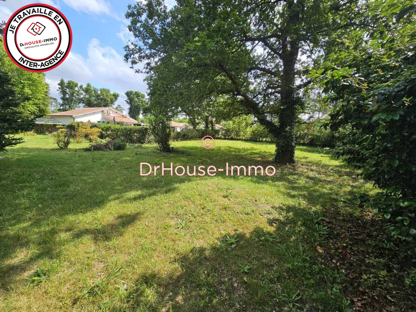 Photo 1 : Vente Terrain Narrosse 800 m²