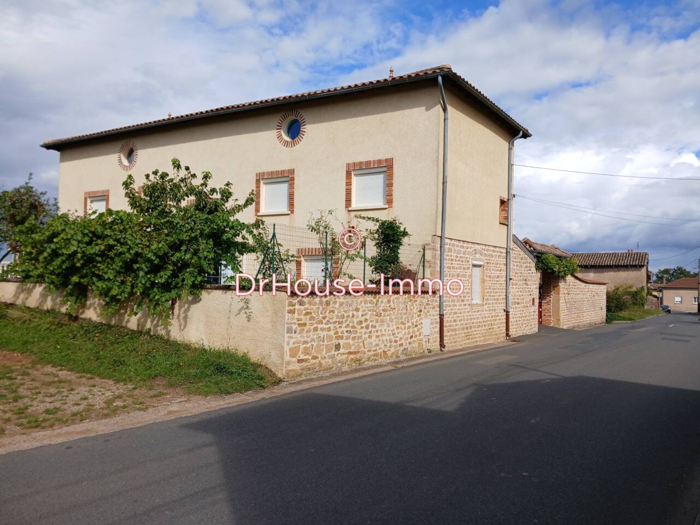 Maison 7 pièces de 350 m² - Crêches-sur-Saône (71680)