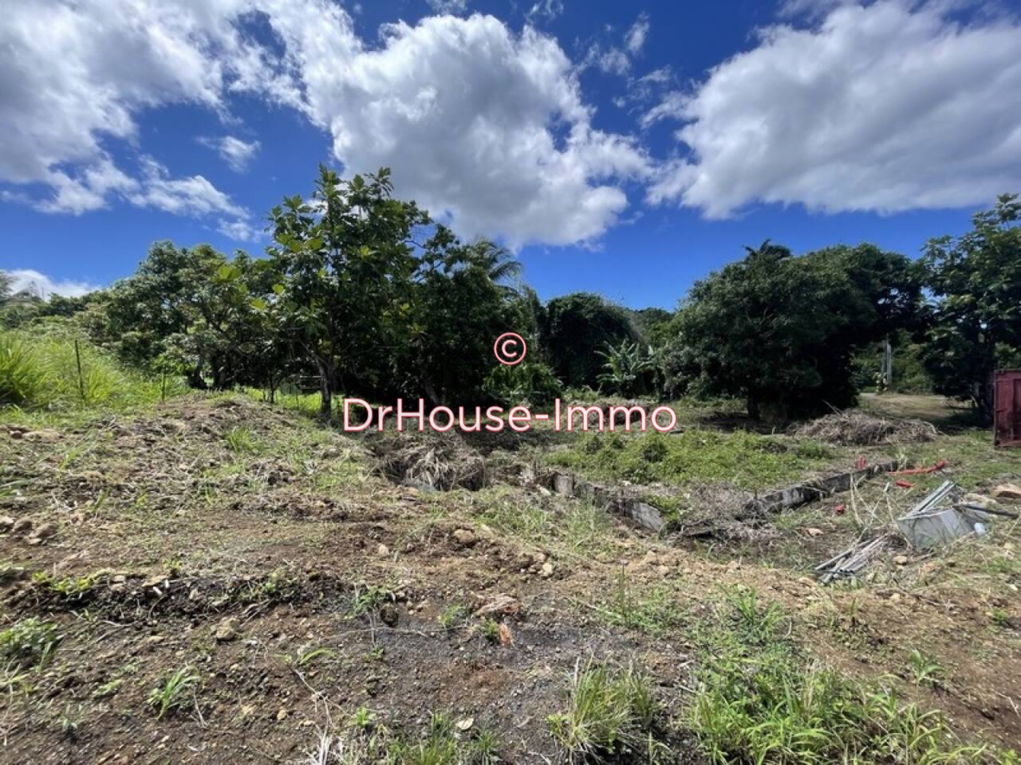 Terrain de 800 m² - Vieux-Habitants (97119)