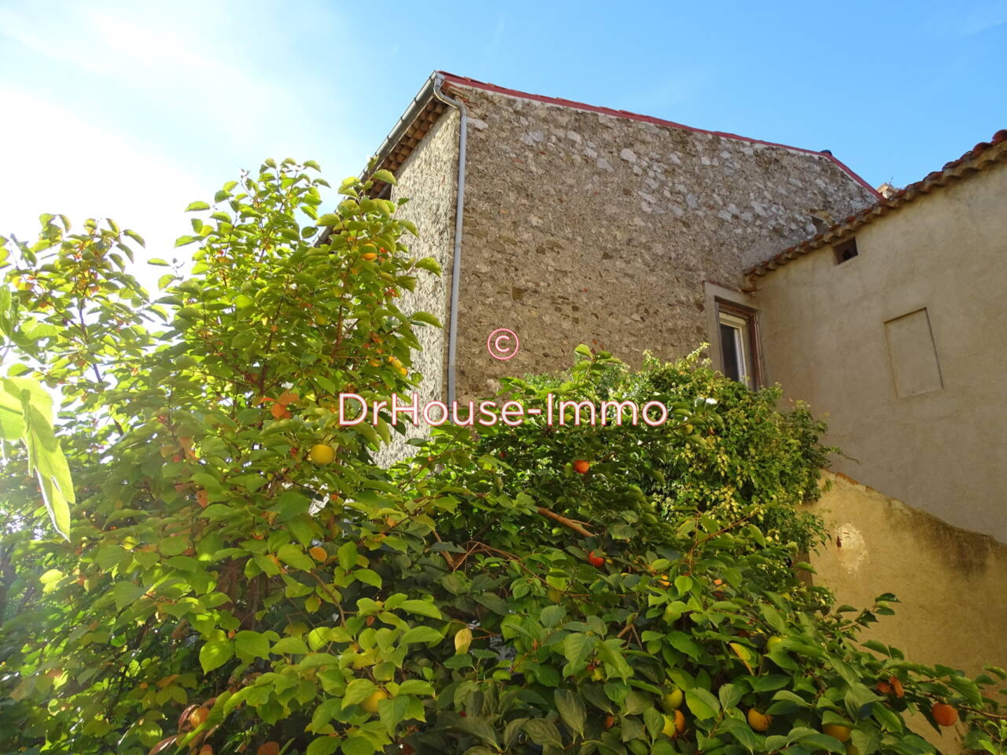 Maison 3 pièces de 100 m² - Maury (66460)