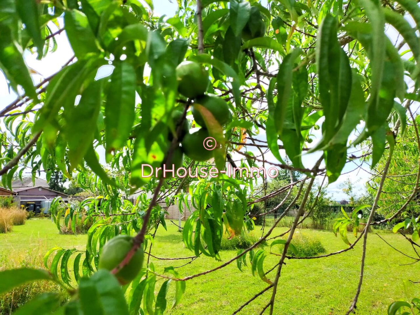 Terrain de 1 024 m² - L'Isle-Jourdain (86150)