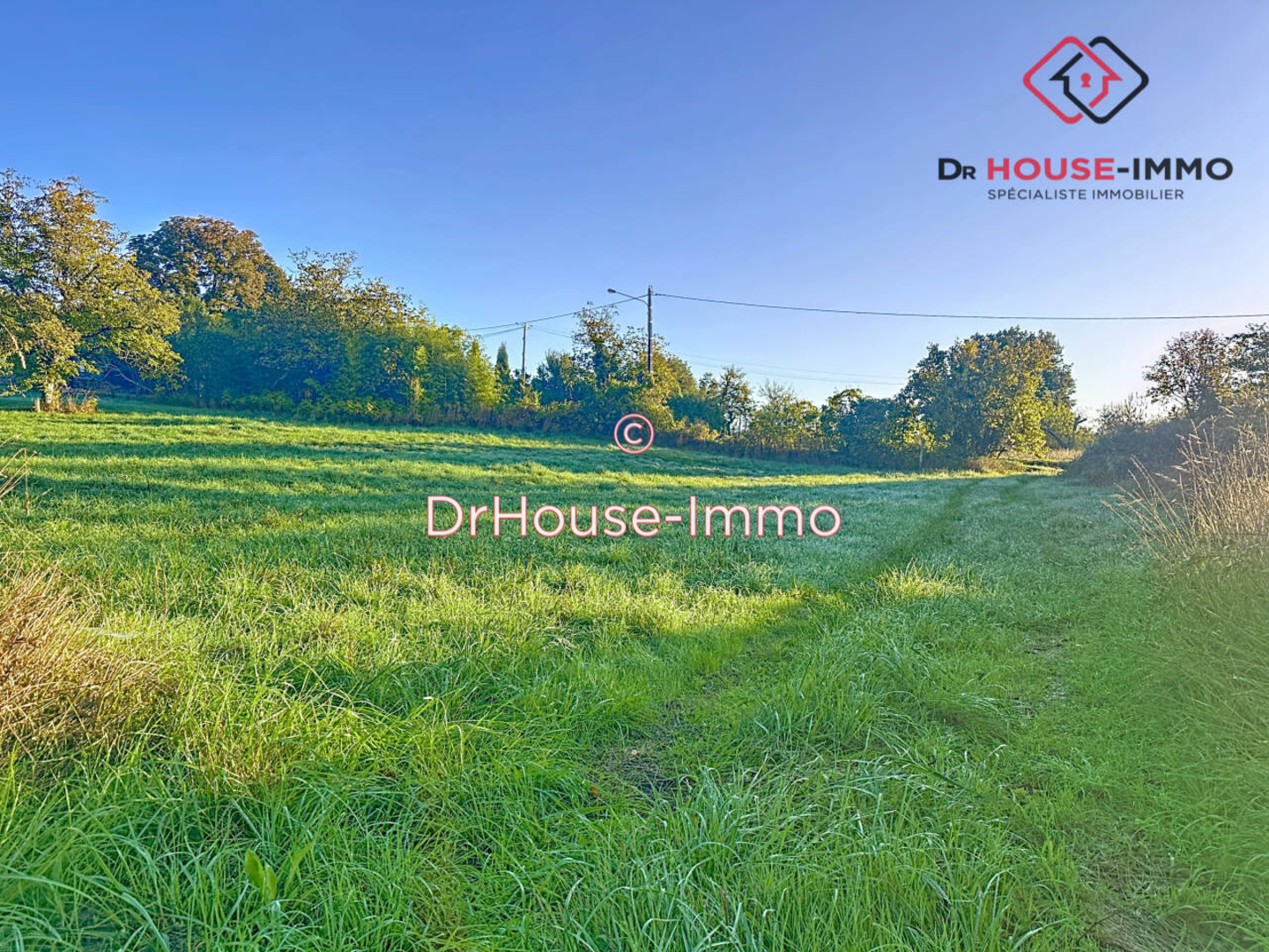 Terrain de 2 008 m² - Savignac-les-Églises (24420)