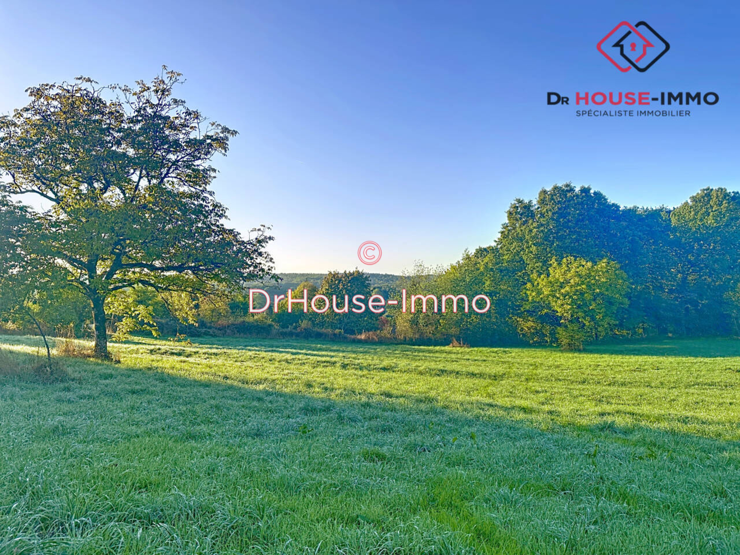 Terrain de 2 008 m² - Savignac-les-Églises (24420)