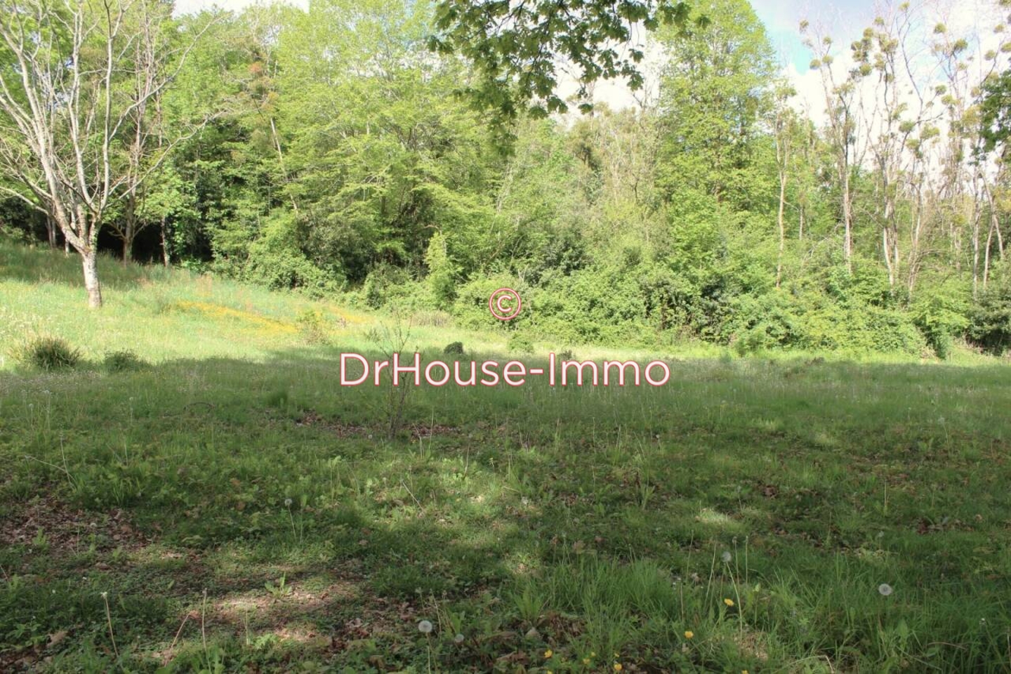 Terrain de 1 500 m² - Tabanac (33550)