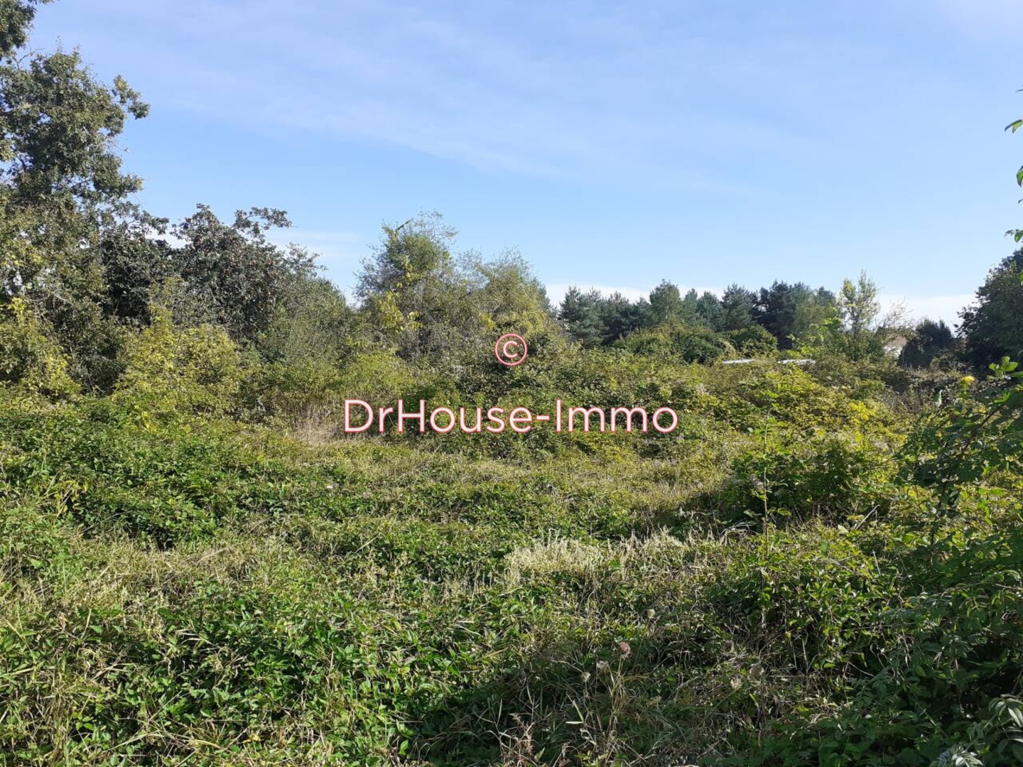 Terrain de 3 135 m² - Olivet (45160)
