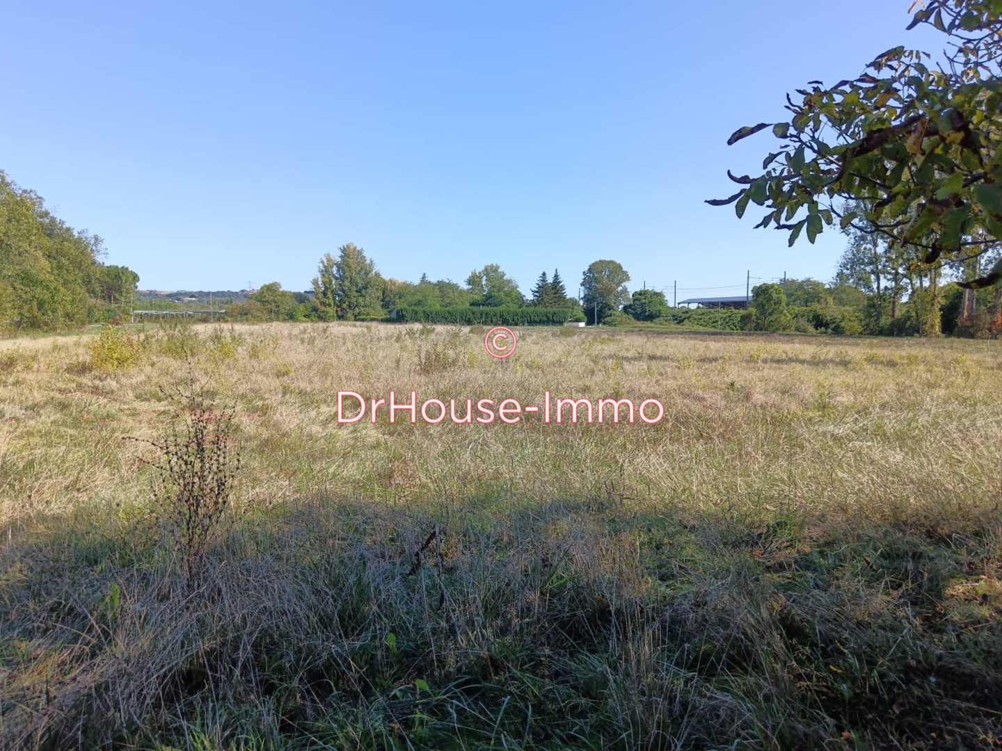 Terrain de 12 500 m² - Colayrac-Saint-Cirq (47450)