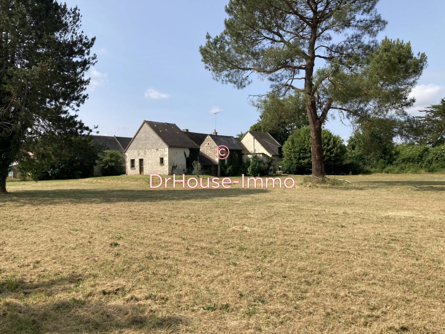 Maison 9 pièces de 238 m² - Bréhémont (37130)