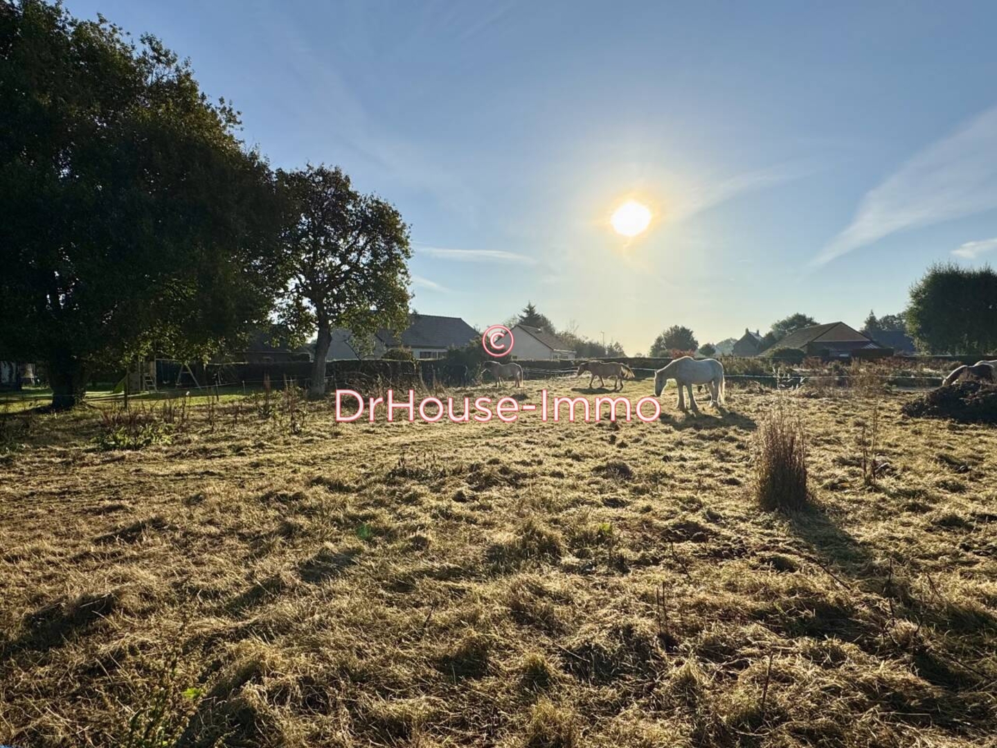 Terrain de 1 110 m² - Notre-Dame-d'Aliermont (76510)