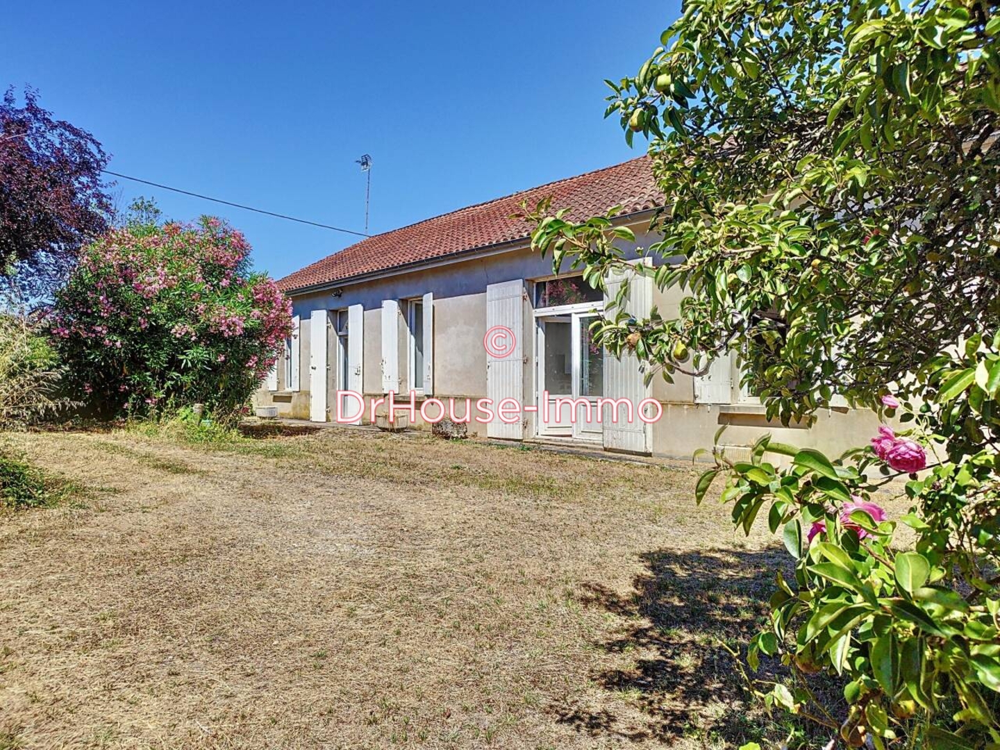 Maison 6 pièces de 117 m² - Samonac (33710)