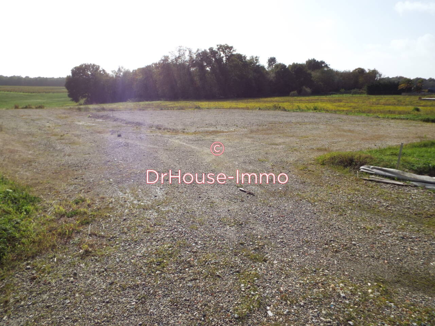 Terrain de 2 998 m² - Gémozac (17260)