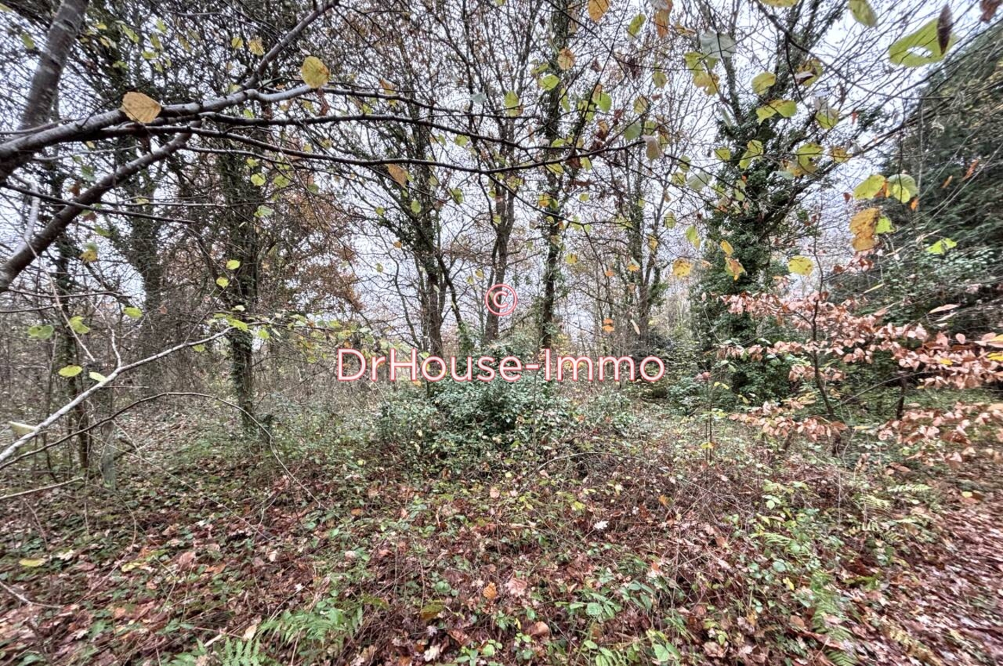 Terrain de 2 274 m² - Olivet (45160)