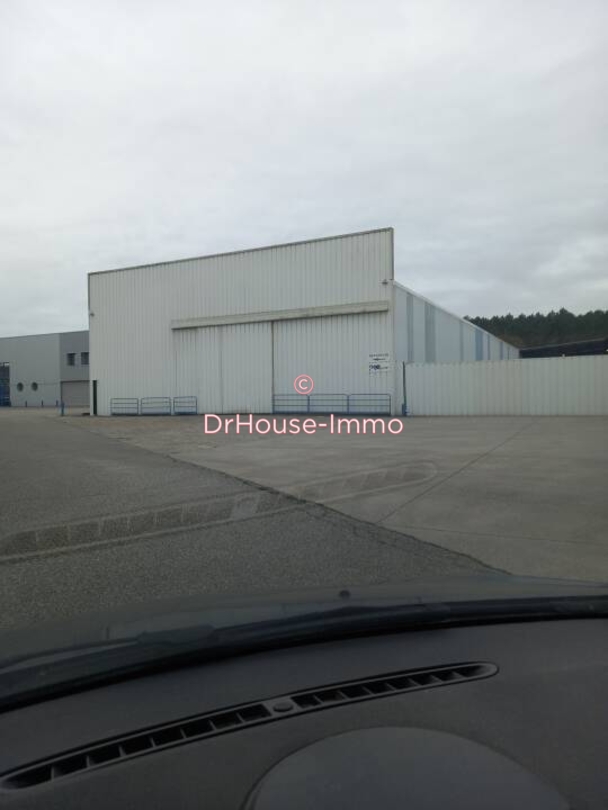 Commerce 2 pièces de 325 m² - Villenave-de-Rions (33550)