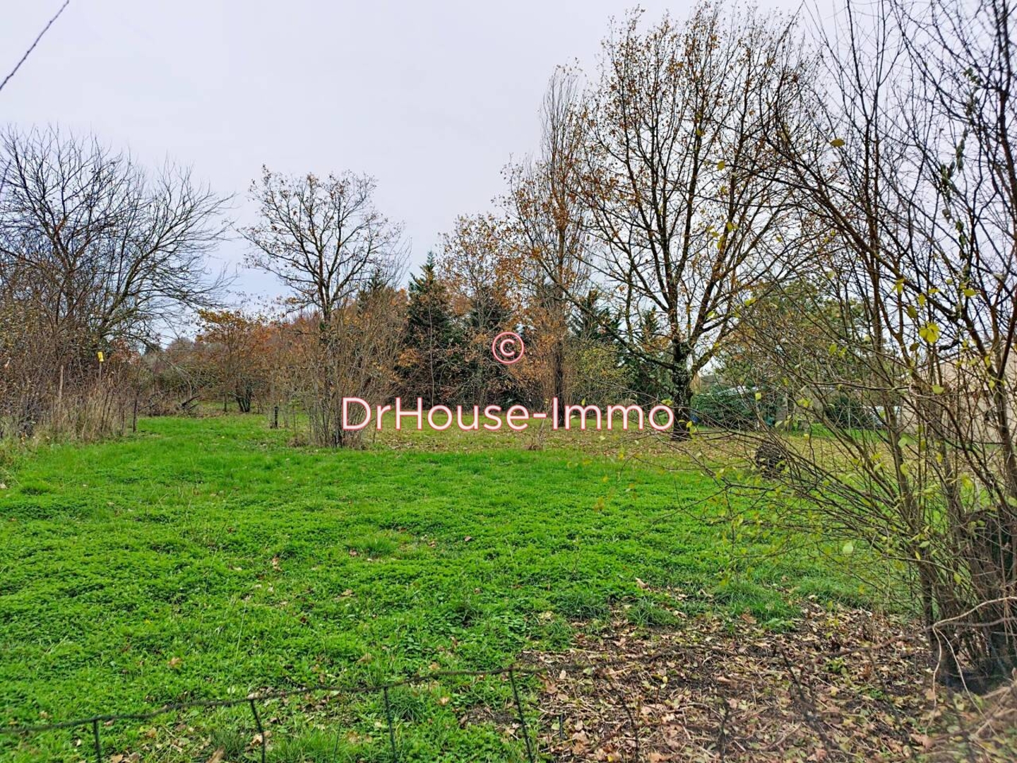 Terrain de 1 000 m² - Cartelègue (33390)