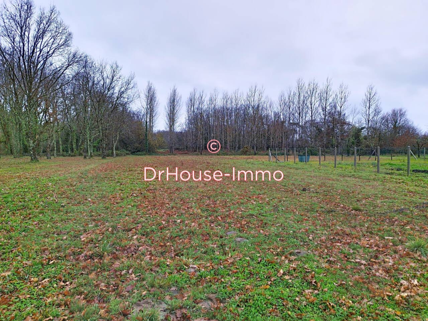 Terrain 1 pièce de 2 082 m² - Braud-et-Saint-Louis (33820)