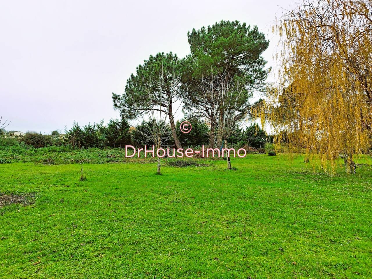 Terrain de 3 000 m² - Cartelègue (33390)