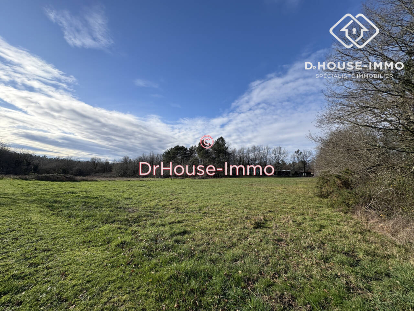 Terrain de 4 022 m² - Saint-Romain-et-Saint-Clément (24800)