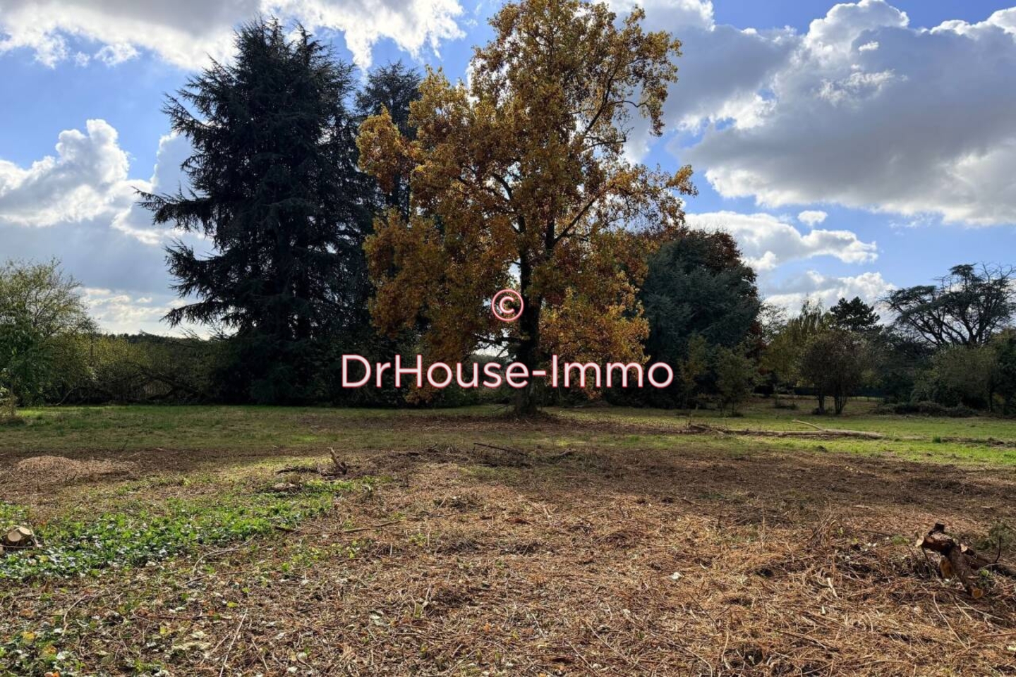 Terrain de 1 000 m² - Fontenay-Trésigny (77610)