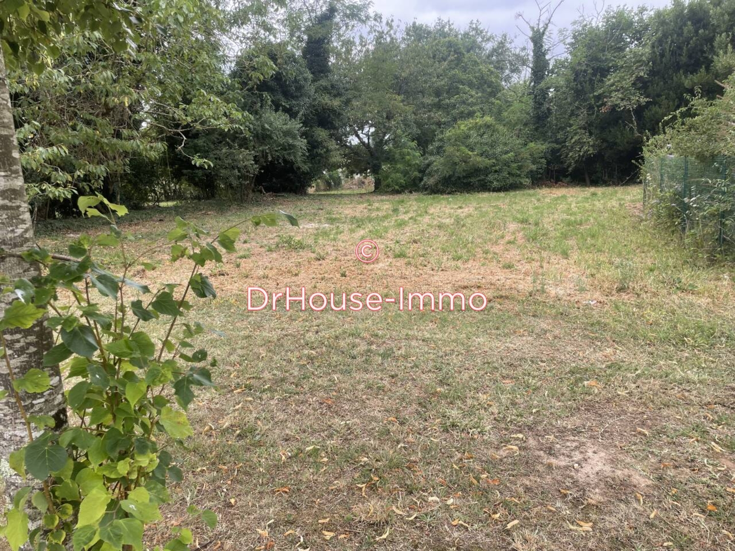 Terrain de 977 m² - Angoulême (16000)