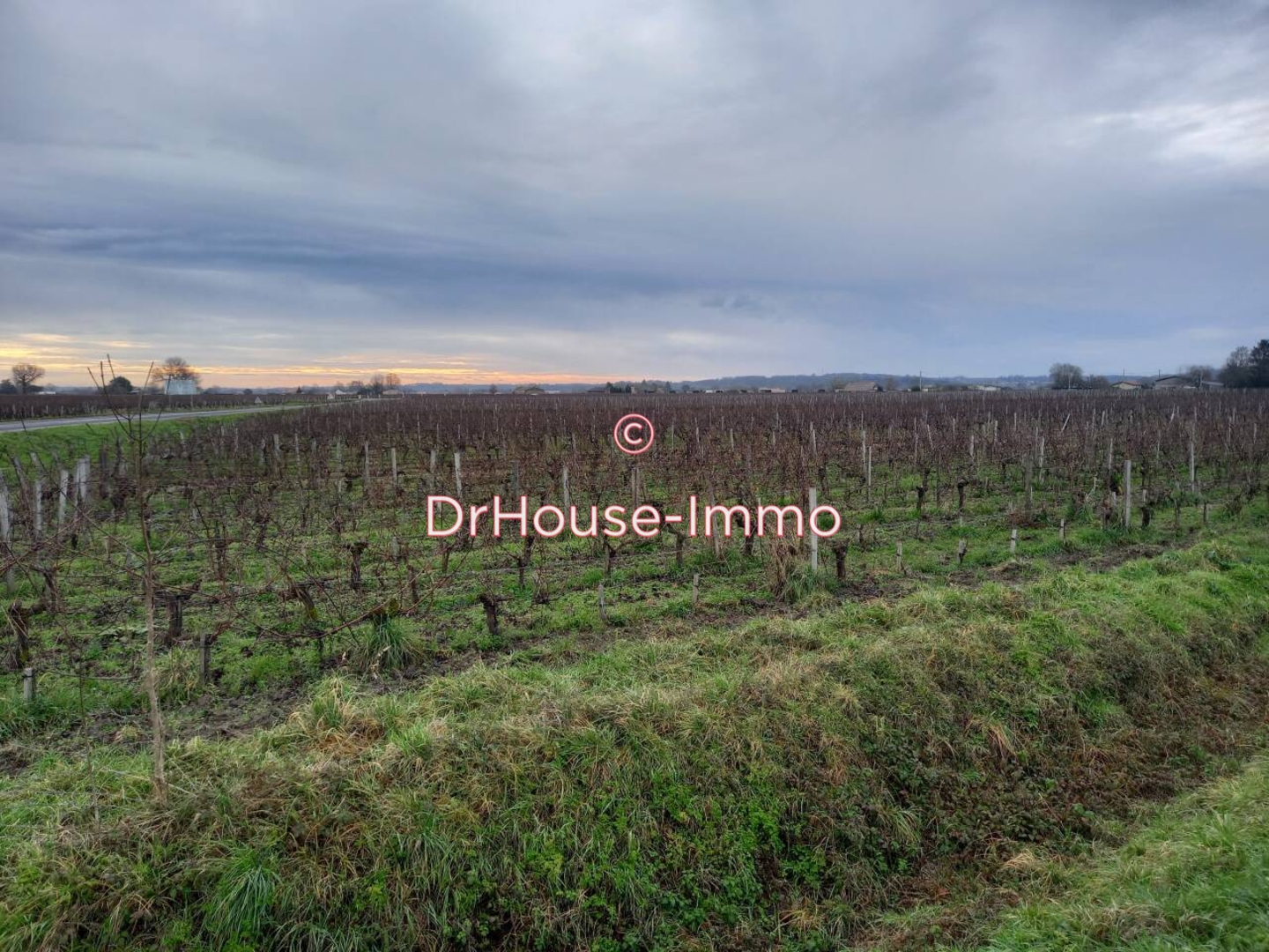 Terrain de 9 540 m² - Saint-Sulpice-de-Faleyrens (33330)