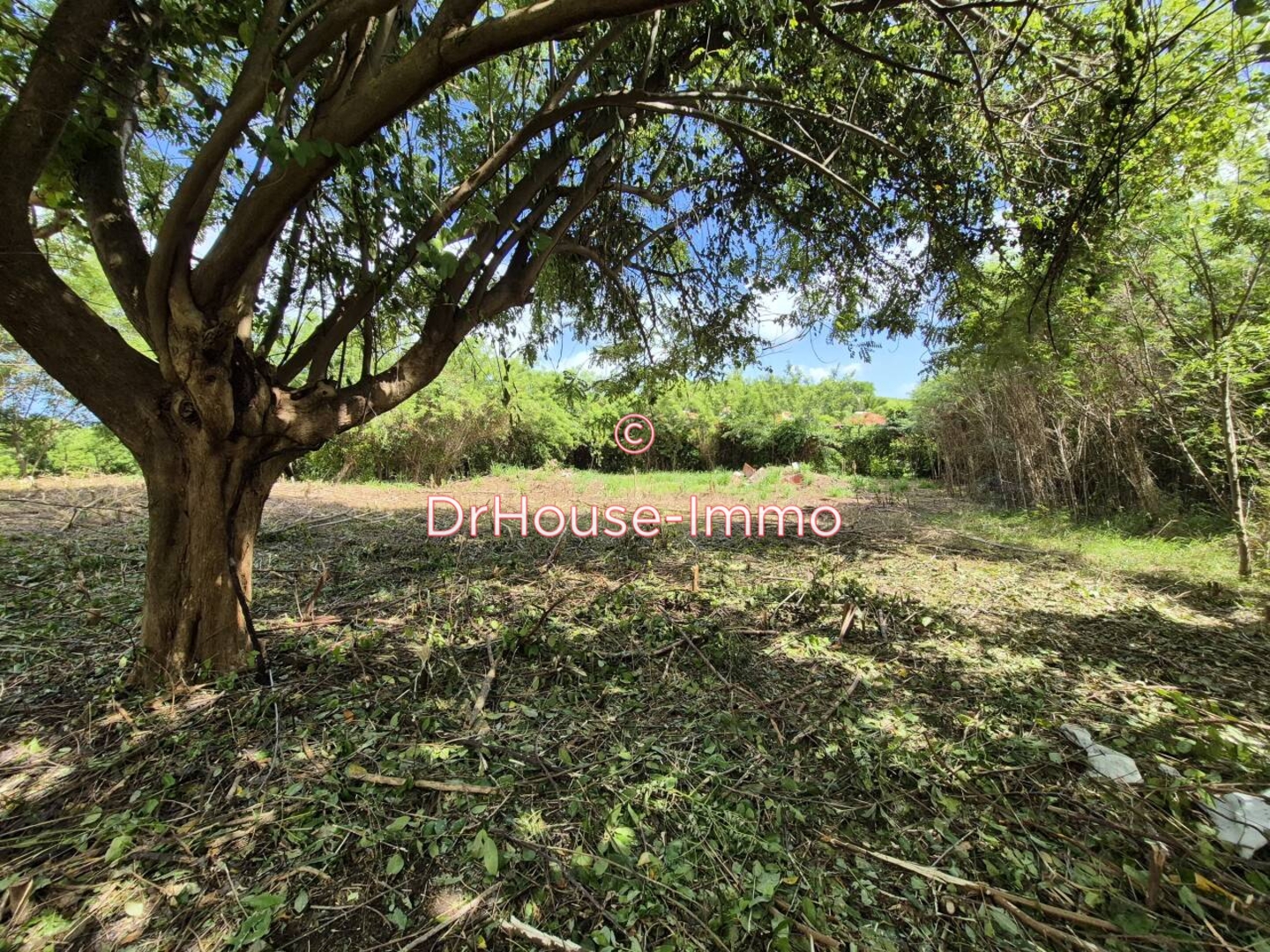 Terrain de 1 299 m² - Vauclin (97280)