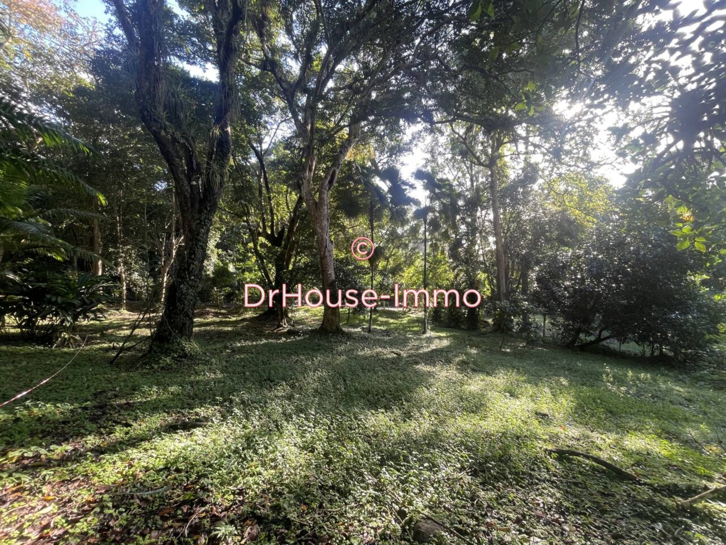 Terrain de 813 m² - Bouillante (97125)