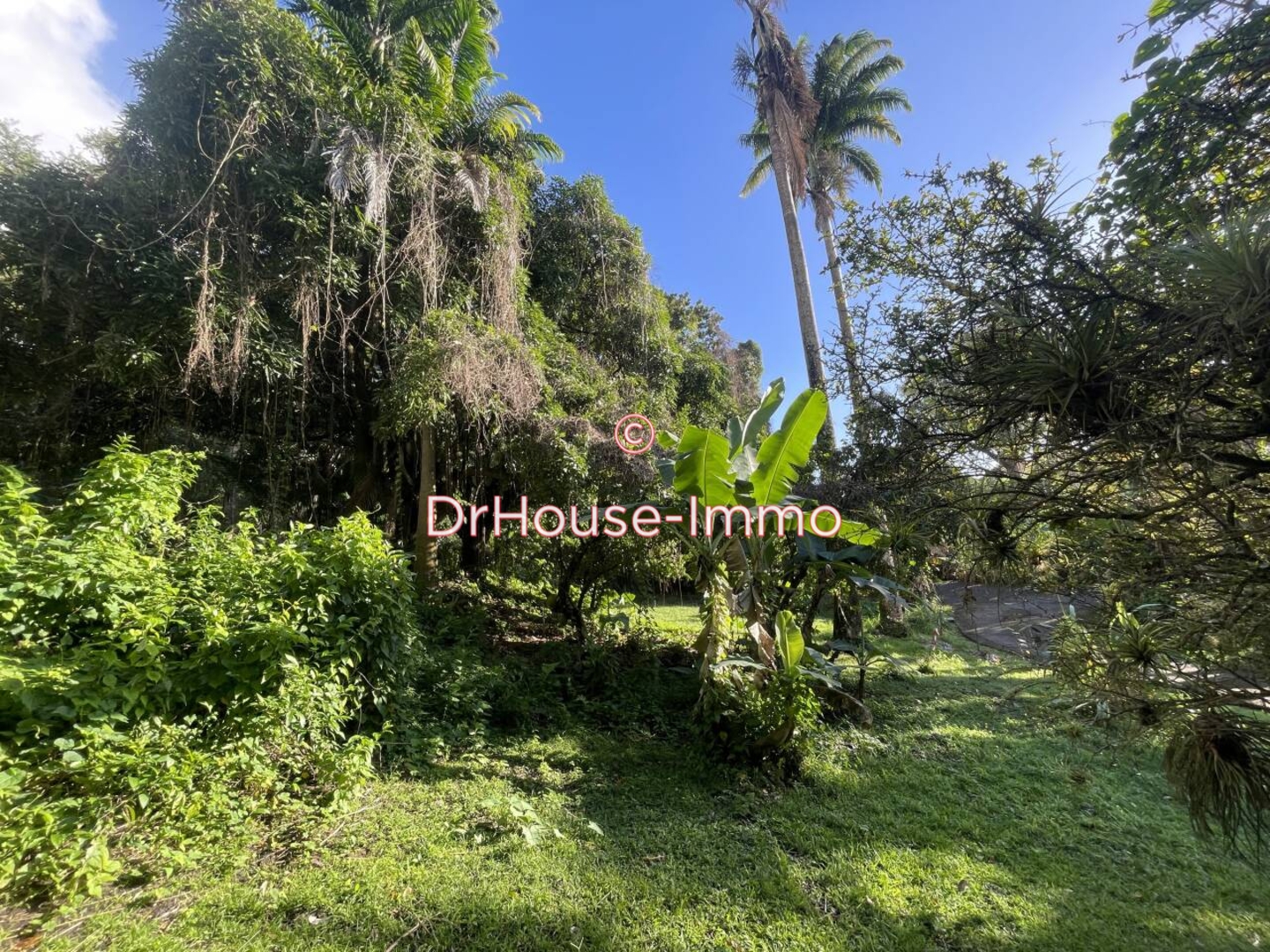 Terrain de 813 m² - Bouillante (97125)