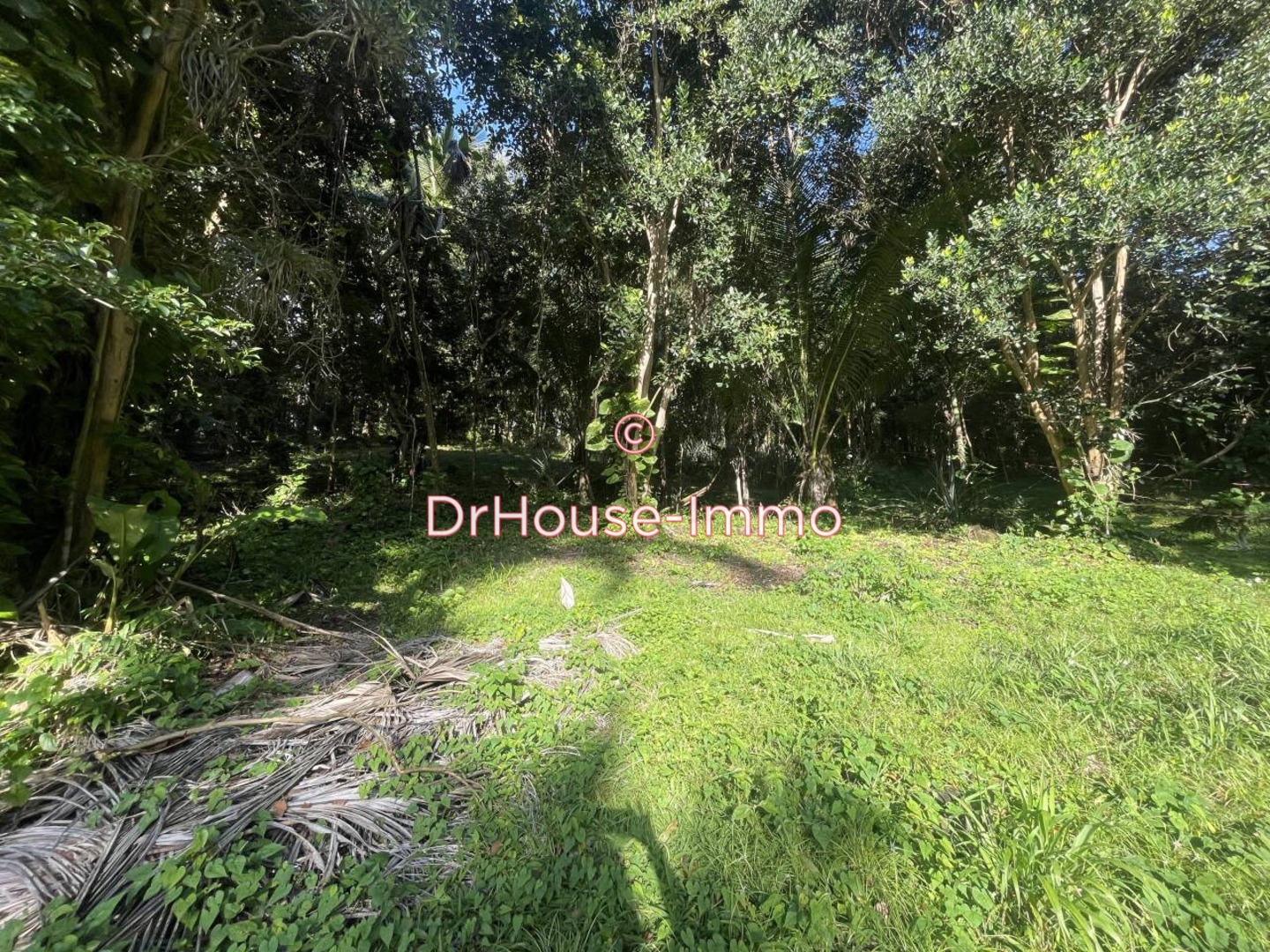 Terrain de 760 m² - Bouillante (97125)