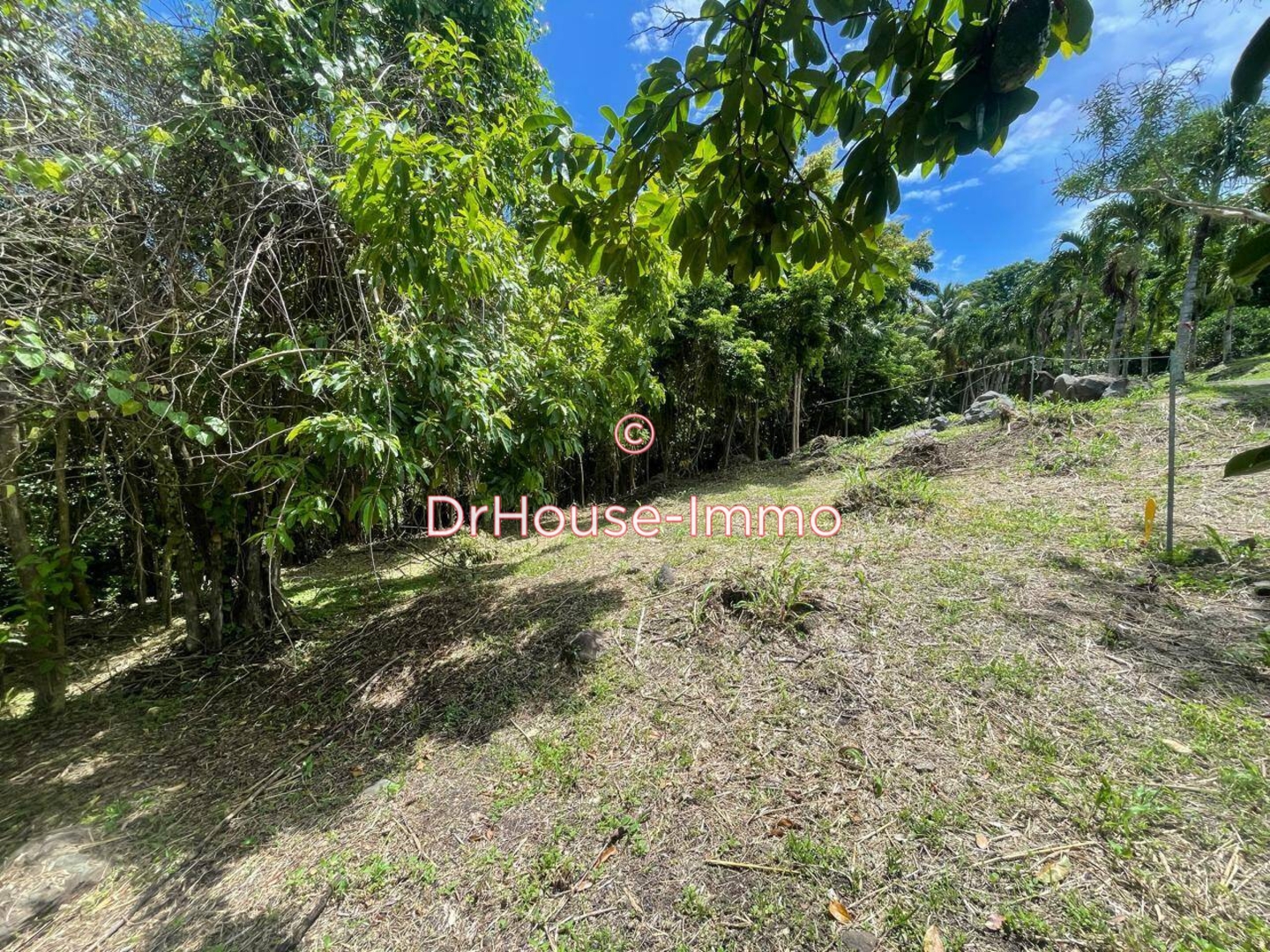 Terrain de 887 m² - Bouillante (97125)