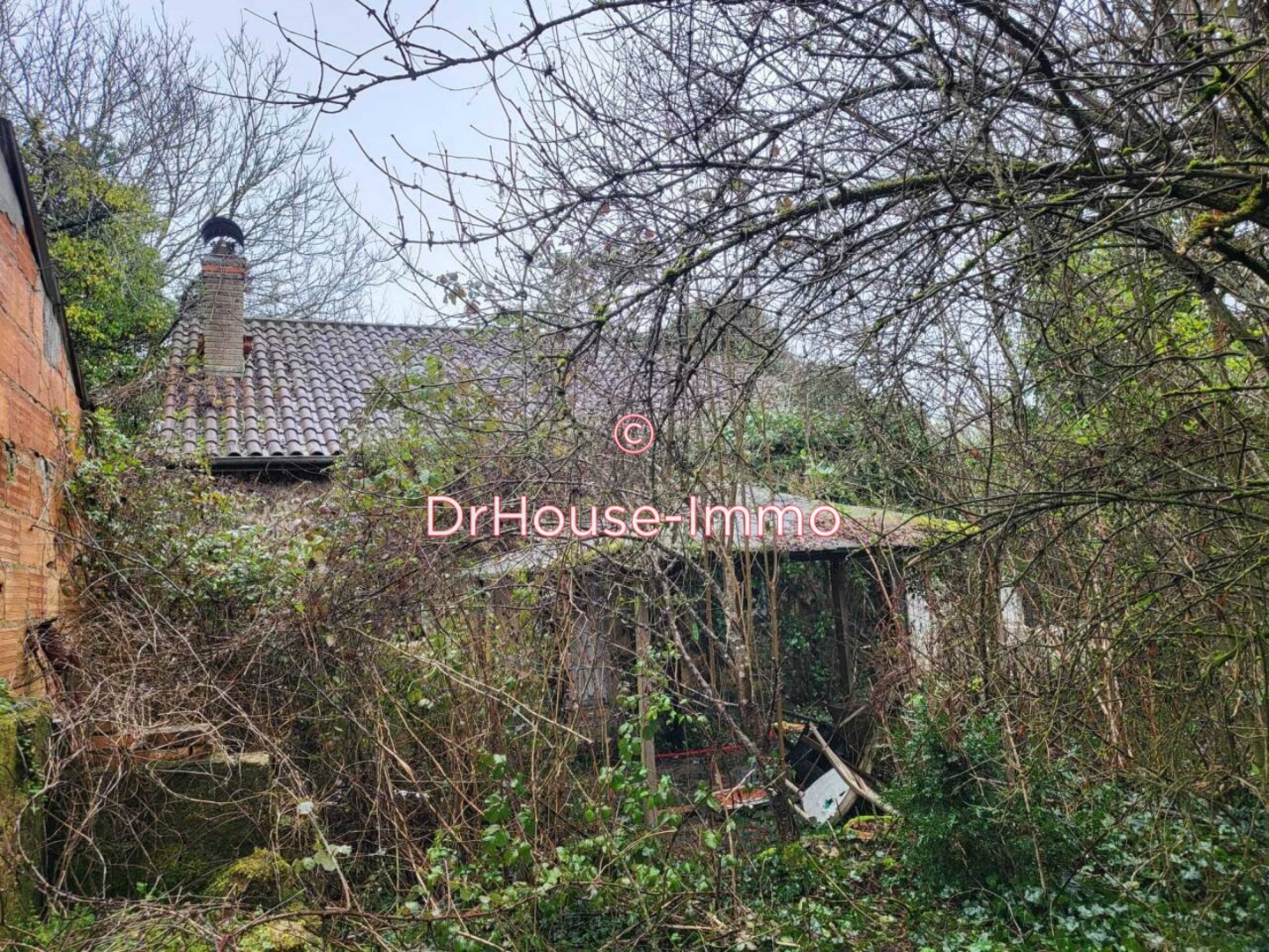 Maison 3 pièces de 60 m² - Montignac-lascaux (24290)